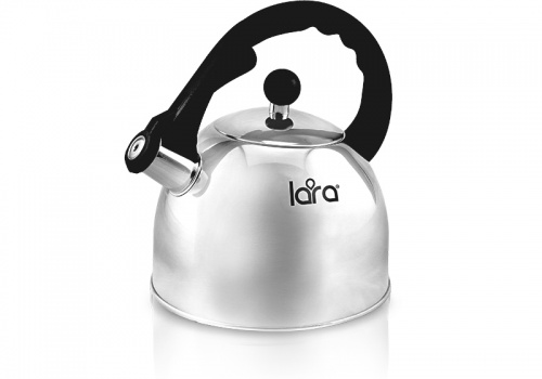 Чайник LARA LR00-05 (зеркальный)